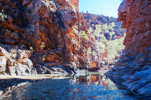 A waterhole at Serpentine Gorge on a clear winter's day near Alice Springs, Northern Territory, Australia