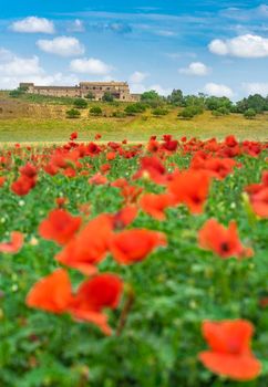 Romantic landscape of red poppy field with rustic old mediterranean house and blue cloudy sky