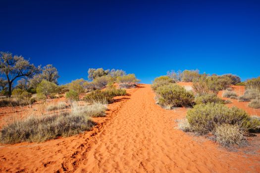 Outback landscape and red sand near Kings Canyon in the Northern Territory, Australia