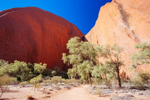 Uluru rock detail with surrounding vegetation on a clear winter's morning in the Northern Territory, Australia