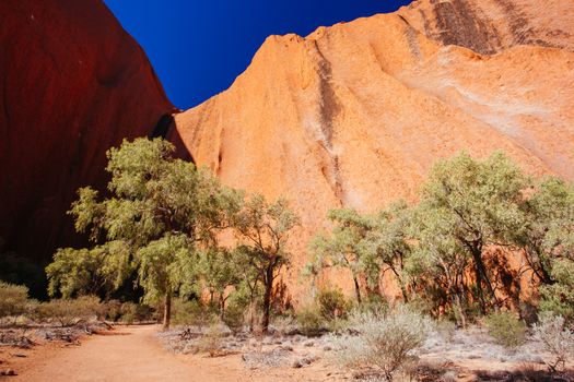 Uluru rock detail with surrounding vegetation on a clear winter's morning in the Northern Territory, Australia