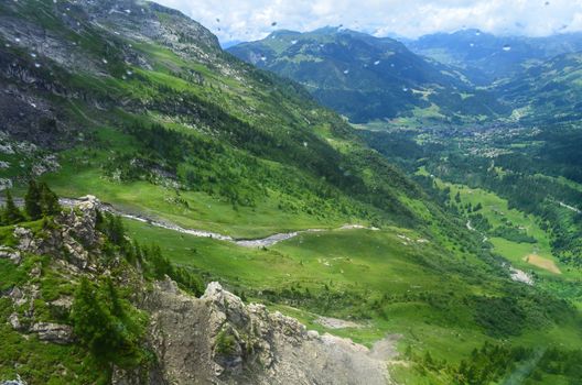 The mountain and forest in Switzerland has super green and plentiful in winter.