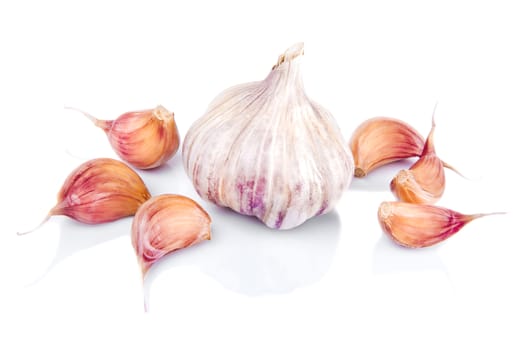 Garlic isolated on white background with reflection.