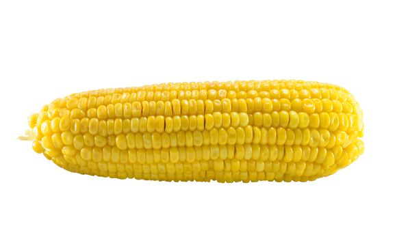 Corn on isolated.