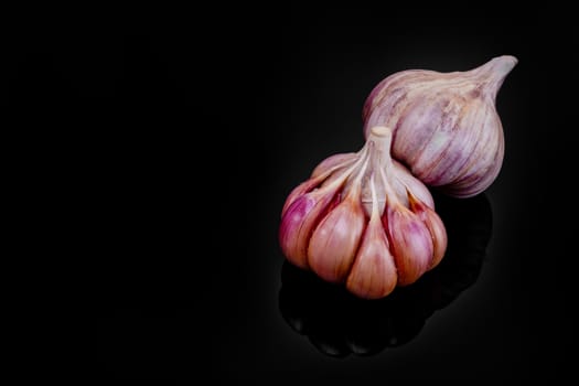 Fresh garlic bulbs on a black background.