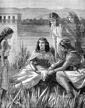 An engraved illustration image of  the child Moses found amongst the bulrushes from a Victorian book dated 1883 that is no longer in copyright