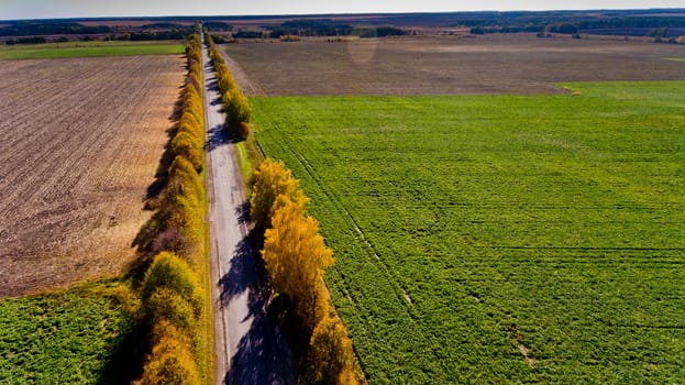 Aerial view of the field road.