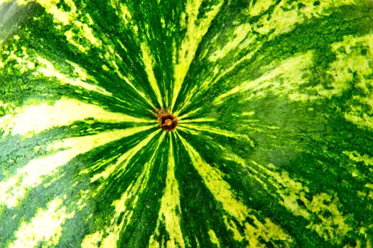 Striped watermelon background.