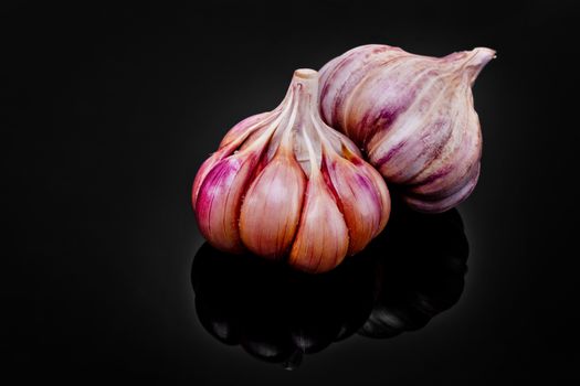 Fresh garlic bulbs on a black background.