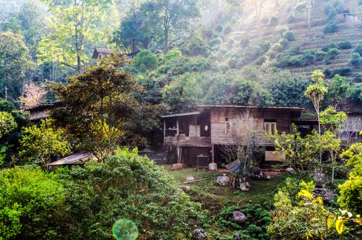 A wood house has alone in the mountain and forest under the sunrise on vacation time and holiday at Chaing Mai Thailand.