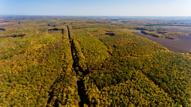 Aerial view of the colorful autumn forest and blue sky.