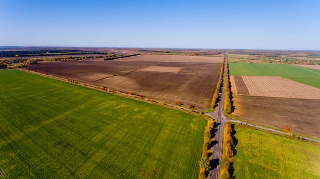 Autumn landscape: blue sky, colorful trees, yellow fields. Aerial view.