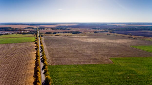 Pathway in the bright autumn. Aerial view.