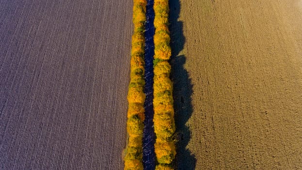 Pathway in the bright autumn. Top view.