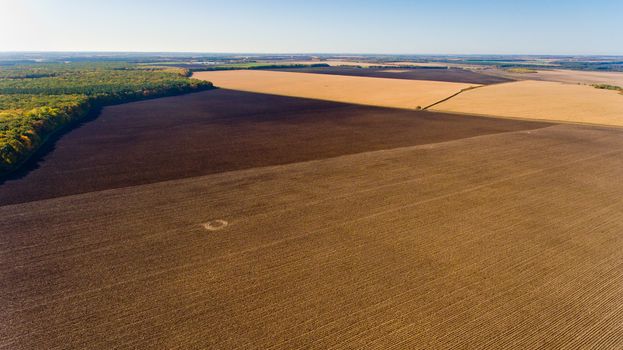 Aerial view of autumn fields.