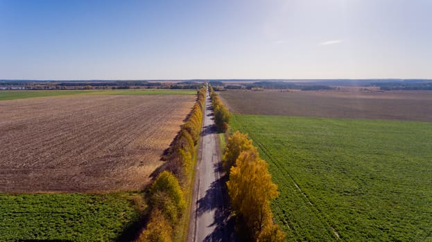 Pathway in the bright autumn. Aerial view.