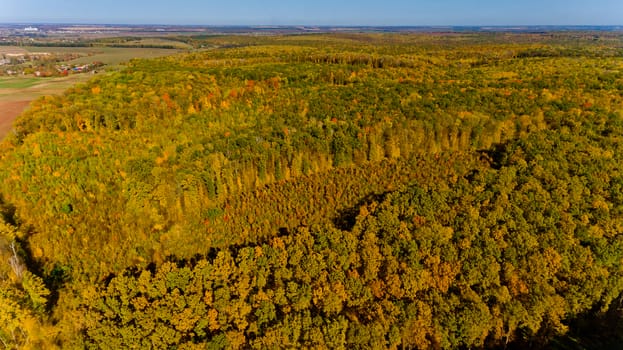 Aerial view of the colorful autumn forest.
