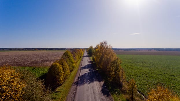 Pathway in the bright autumn. Aerial view.