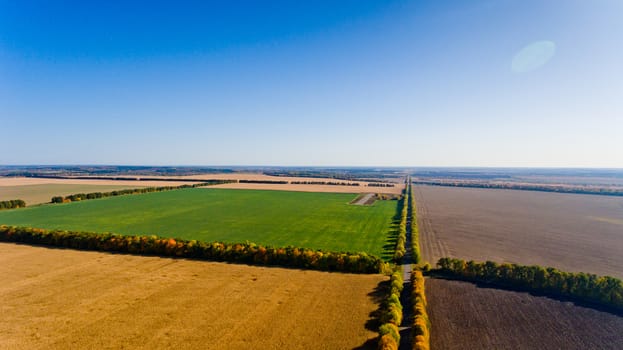 Autumn landscape: blue sky, colorful trees, yellow fields. Aerial view.