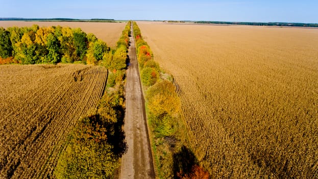 Aerial view of the field autumn road.