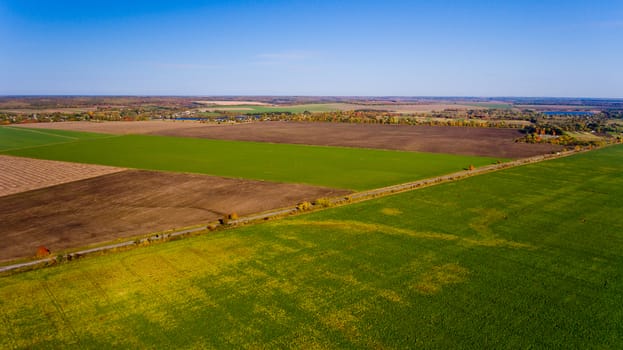 Autumn landscape: blue sky, colorful trees, yellow fields. Aerial view.