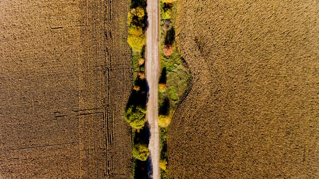Top view of the field road.