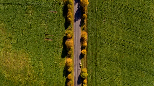 Pathway in the bright autumn. Top view.
