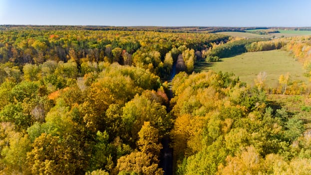 Aerial view of the colorful autumn forest.
