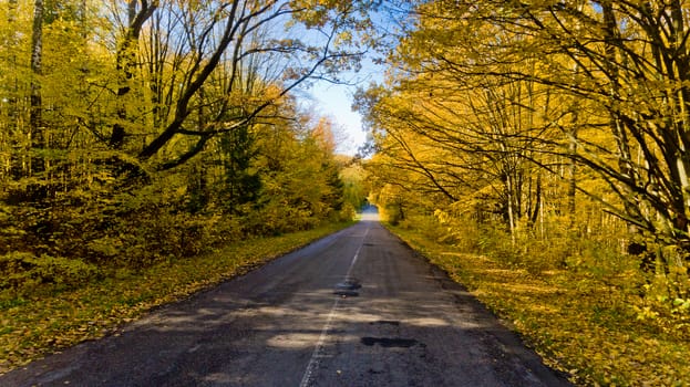 Pathway in the bright autumn forest. Aerial view.