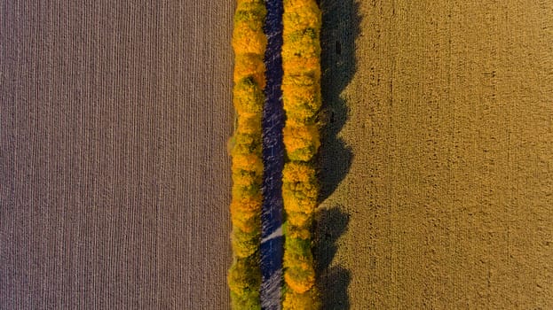 Pathway in the bright autumn. Top view.