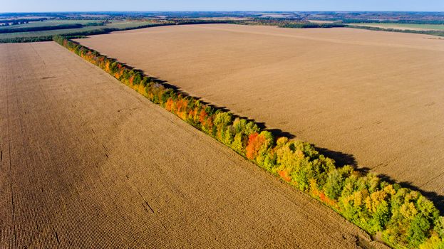 Aerial view of multi-colored autumn trees share plowed fields.