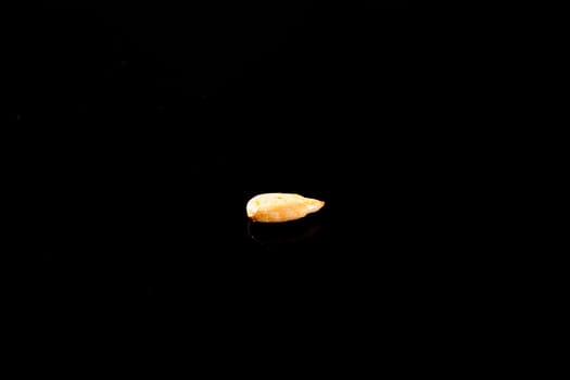 Roasted Salted Sunflower Seed on a black background