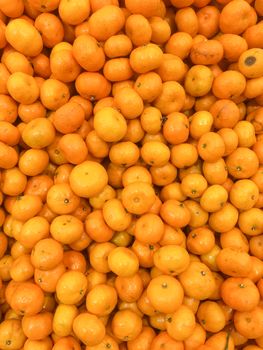 Orange fruit background and wallpaper.