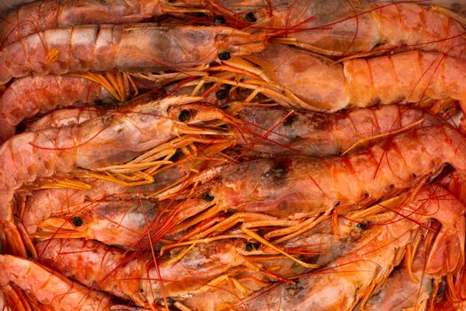 Raw shrimp langostino background package sell many items