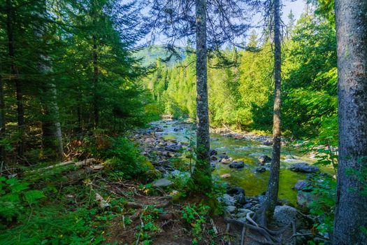 View of the Sainte-Anne-du-Nord River, in Gaspesie National Park, Gaspe Peninsula, Quebec, Canada