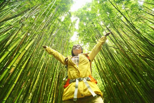 Bamboo forest nature woman environment freedom with open arms in success. Environmental eco friendly sustainability concept. Hiker hiking on Pipiwai Trail on famous road to hana travel, Maui, Hawaii.