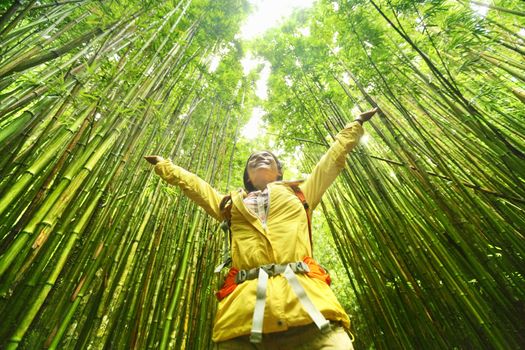 Bamboo forest nature woman environment freedom with open arms in success. Environmental eco friendly sustainability concept. Hiker hiking on Pipiwai Trail on famous road to hana travel, Maui, Hawaii.