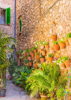 Traditional flower pots decoration in the old village of Valledemossa on Majorca, Spain Balearic Islands