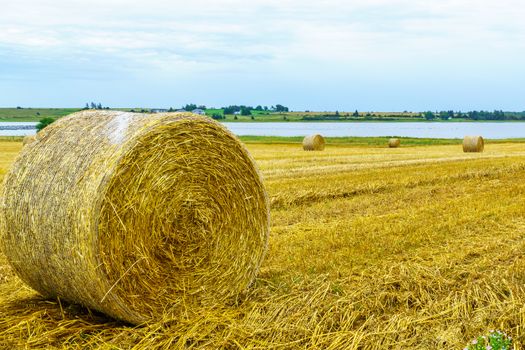 View of countryside and haystacks near Grand River, Prince Edward Island, Canada