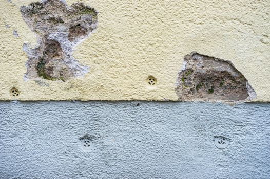 Detail view of mold in a house wall
