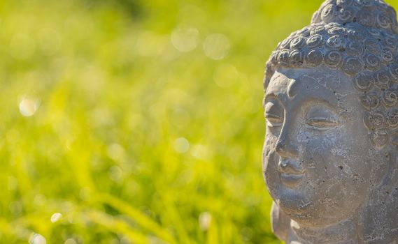 Close-up of buddha head statue with green grass background