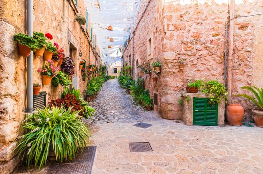 Beautiful flower street on Mallorca, Valldemossa village