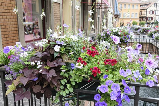 France, Alsace, June 2015: Road side flower display