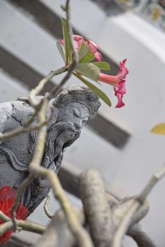 THAILAND, BANGKOK - 28 MARCH 2016 - warrior statue at the temple of dawn (wat arun) frame by a tree branch with pink flower 