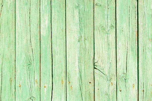 Green colored wooden planks background texture with copy space