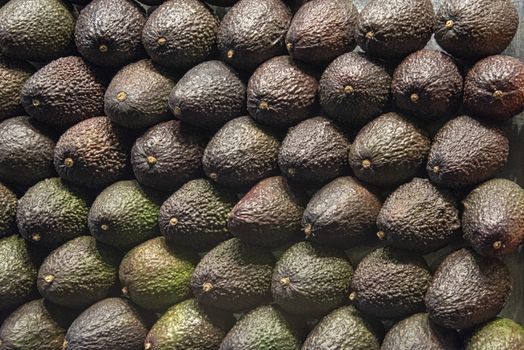 Spain, Barcelona - May 2018: Wall of stacked avocado pears