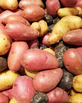 USA, Boston - January 2018 - Mixed salad potatoes for sale at local store