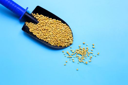 Chemical plant fertilizer on garden shovel on blue background. Top view
