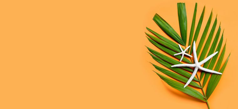 Starfish on tropical palm leaves on orange  background. Enjoy summer holiday concept.