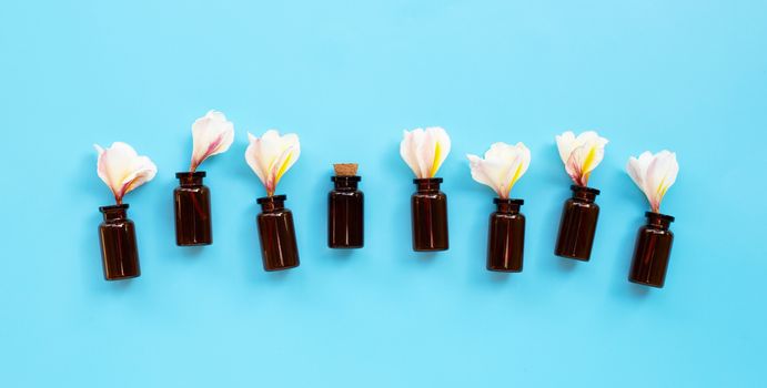Essential oil with plumeria or frangipani flower on blue background. Top view